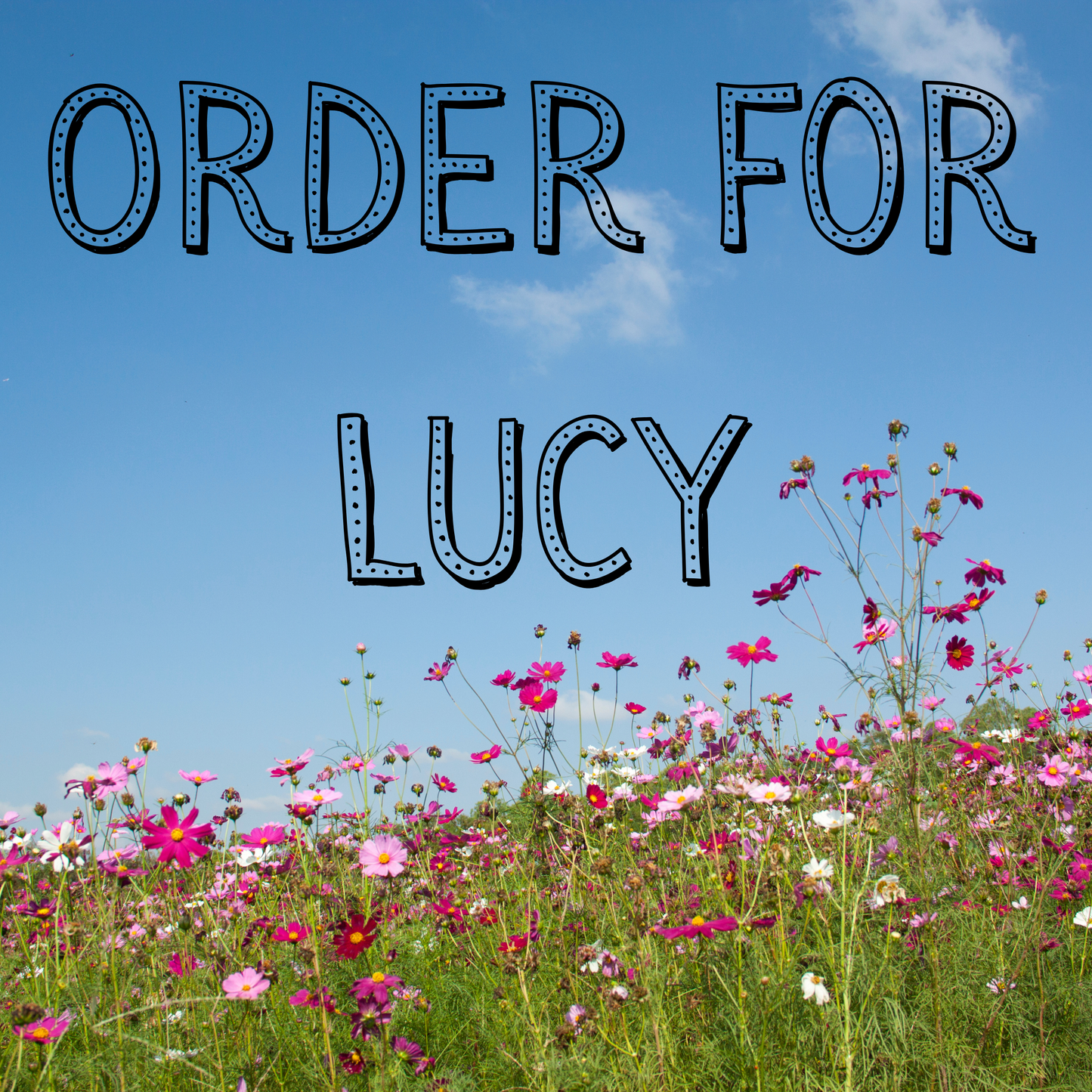 BIG ORDER for LUCY